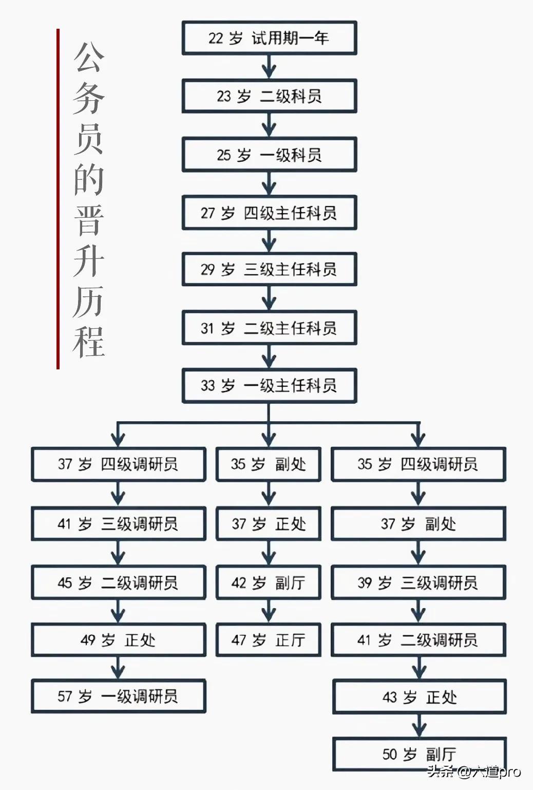 公务员录用流程图，全面解析流程细节