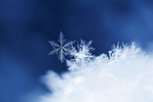 北京佛爷顶雪花纷飞开启冬日模式