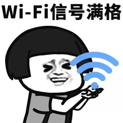 爸妈的WiFi日常，每晚必拔，苦也愿吃