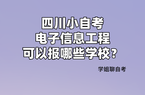 电子信息考公之路挑战重重