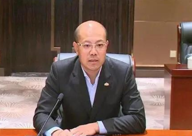 绿地集团董事长不雅照事件，公司回应与影响分析