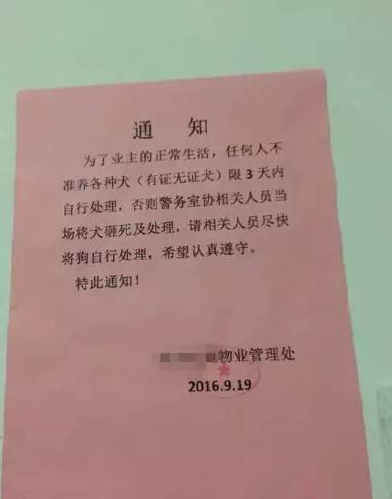 物业通知，全面禁止养宠物及实施违规捕杀措施的规定