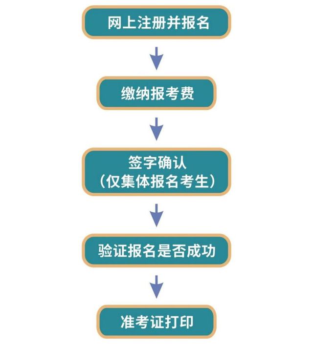 考试报名审核部门探究，职能与职责解析