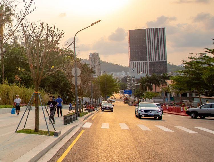 深圳不锈钢盲道拆除引发反思，城市管理的挑战与未来路径