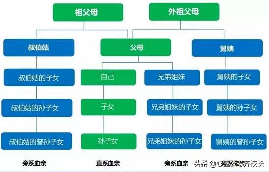 考公考编查三代，深度探究与理性观察