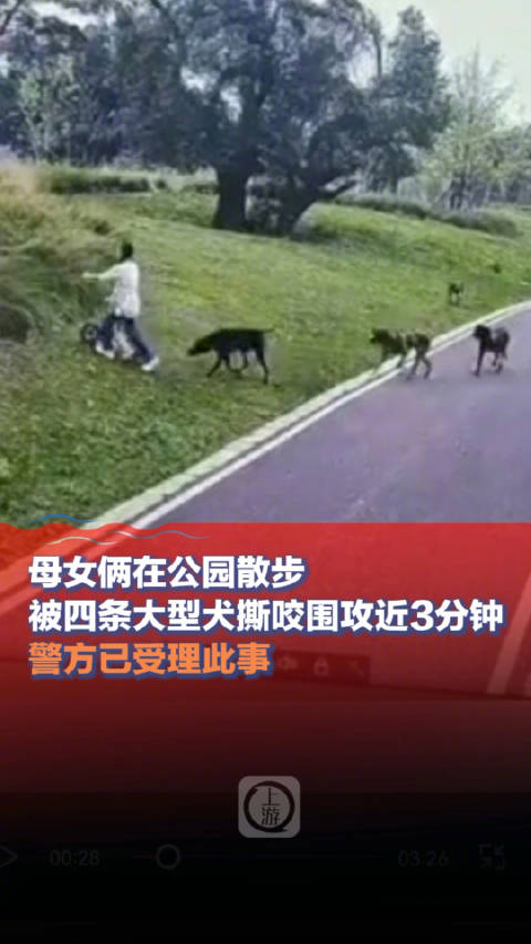 母女公园散步遭大型犬撕咬，警方迅速行动，涉案犬主人被采取刑事强制措施