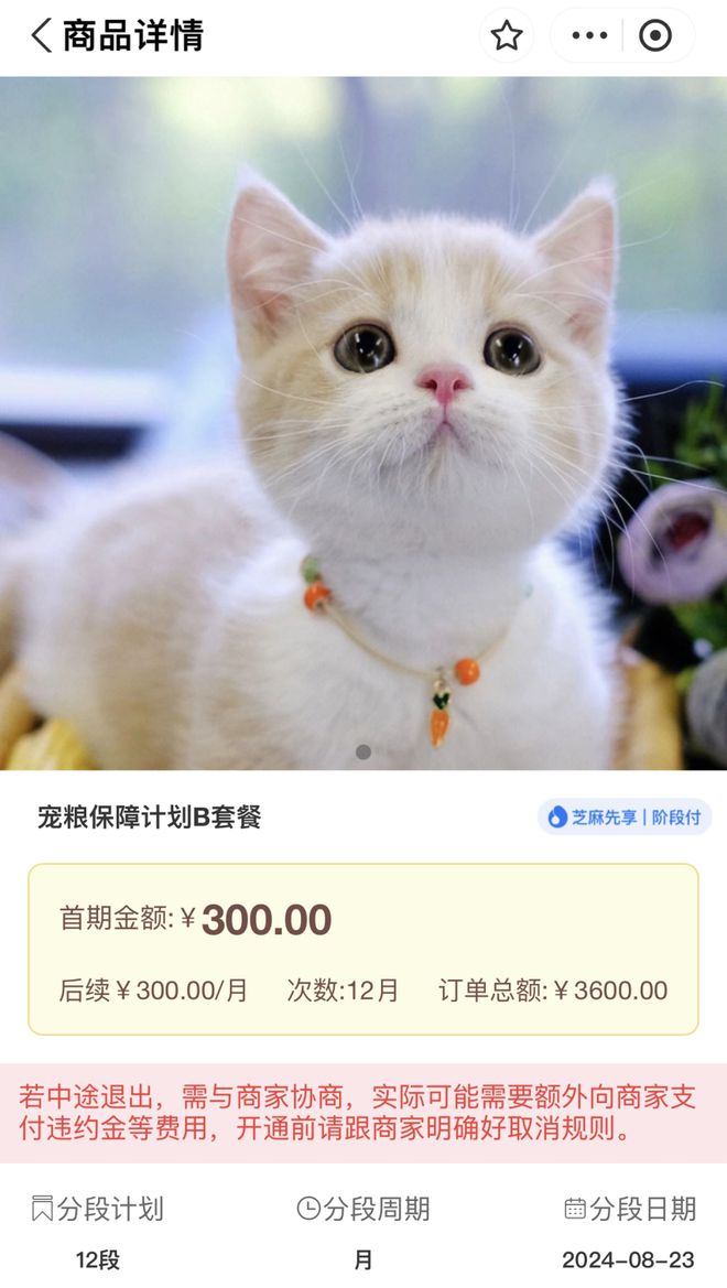 领养猫咪费用纠纷引发法律争端