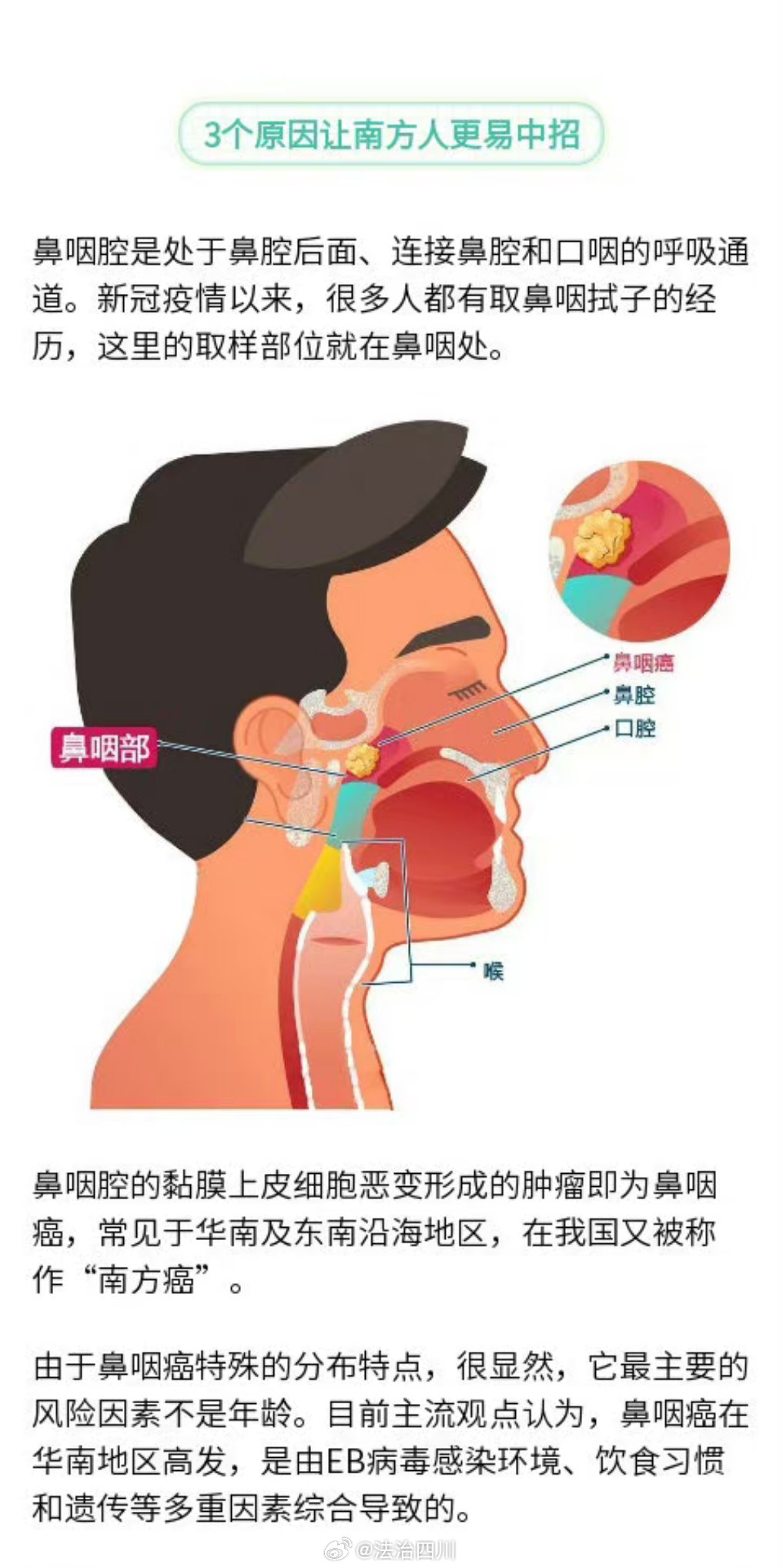 南方人鼻咽癌高发的原因分析