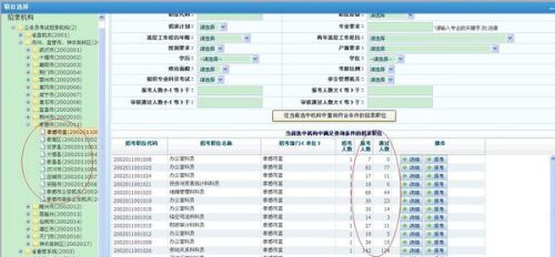 2024年12月 第427页