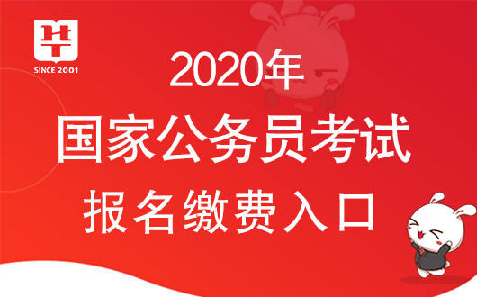 2020公务员缴费入口全面解析及指南，探索与解析缴费流程攻略