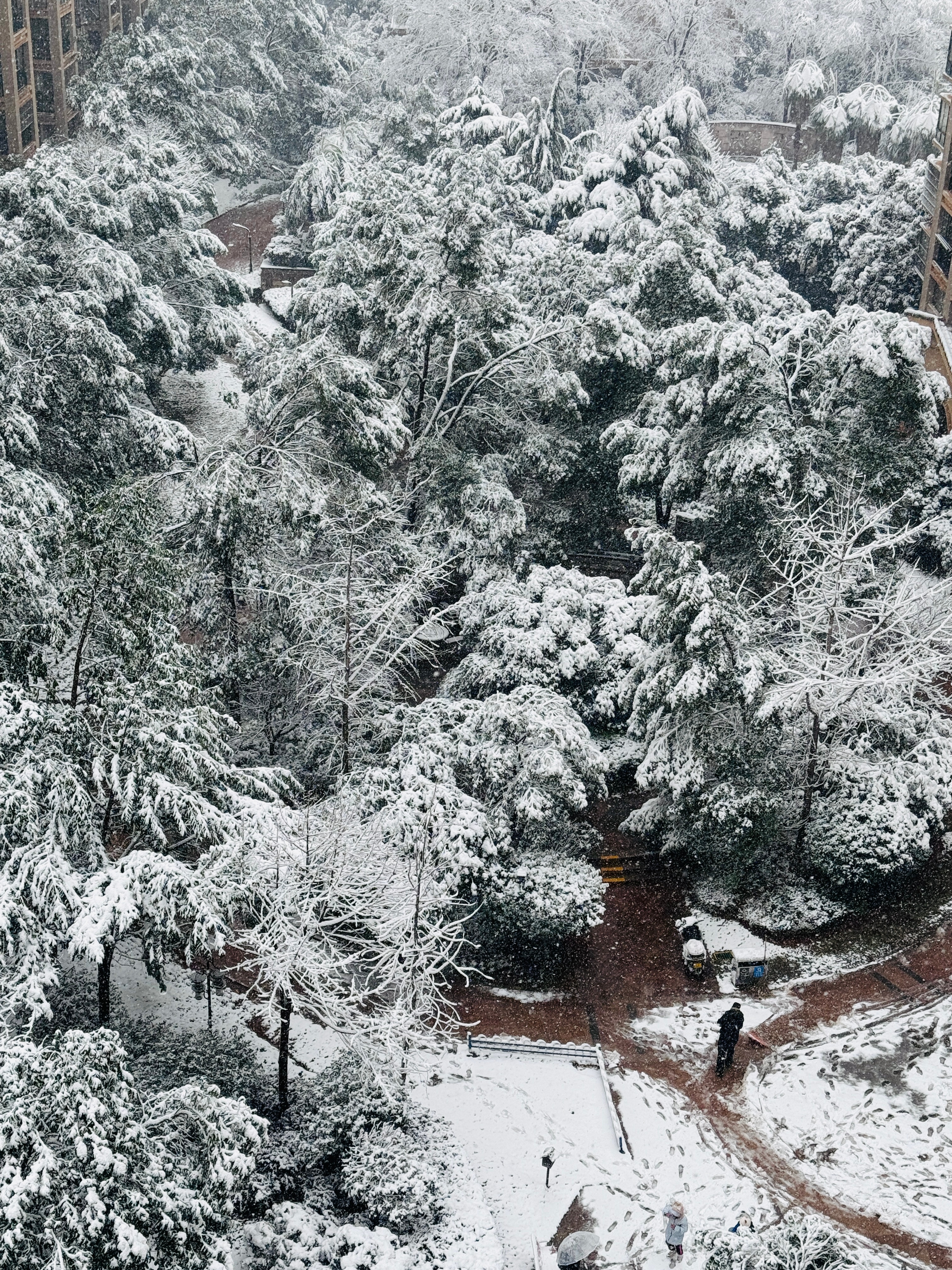 长沙瑞雪纷飞