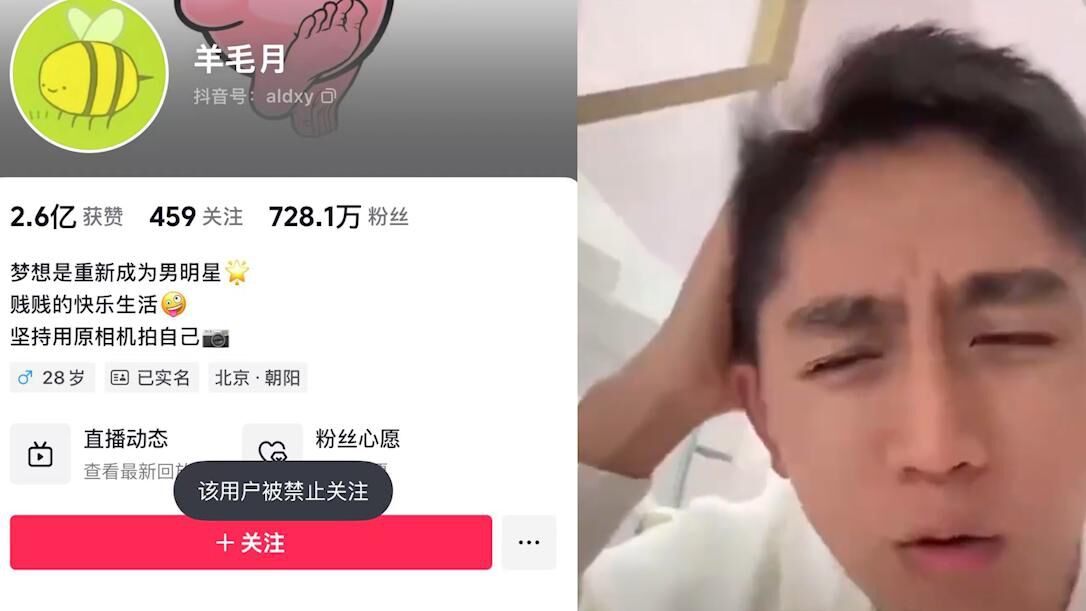 羊毛月被禁止关注背后的原因深度解析与反思