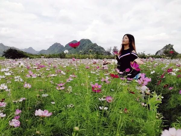 花海退役，英雄落幕，青春重启之路