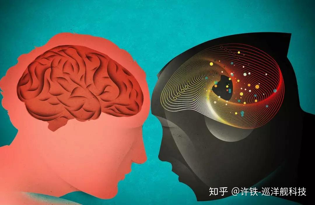 著名脑科学家为何对AI研究持保留态度？