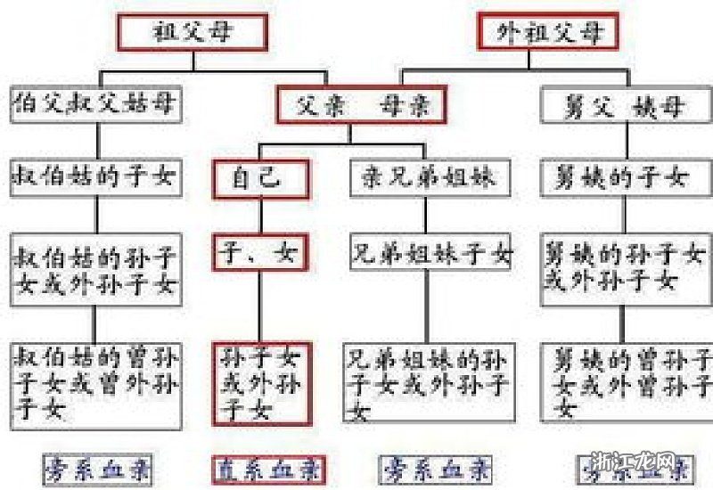 深度解析血缘关系，直系亲属究竟包括哪些人？