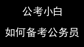 小白公务员备考指南，有效策略与关键步骤