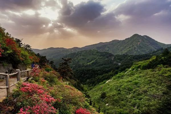 自我成景，意外爬山之旅的启示