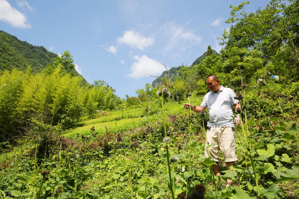 揭秘山西高考，2022年一本分数线揭晓！