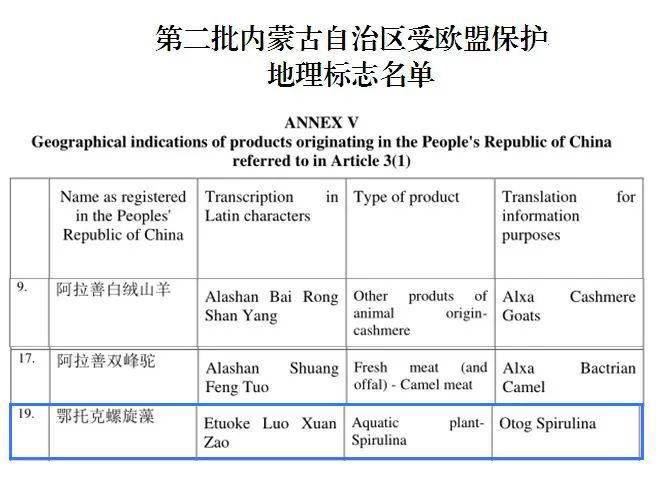 官方通报揭秘鄂尔多斯羊绒含量虚标事件，真相揭晓与未来监管展望