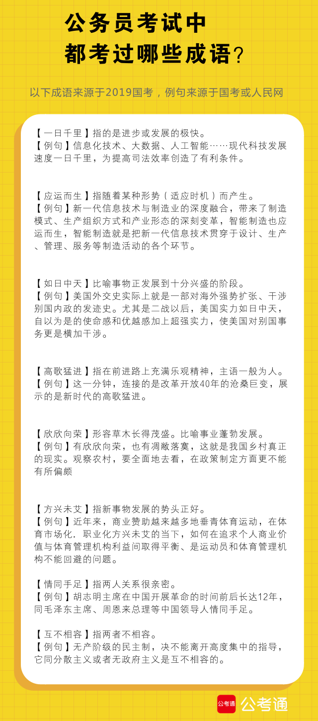 公务员考试必备，常用成语和词语解析及应用指南