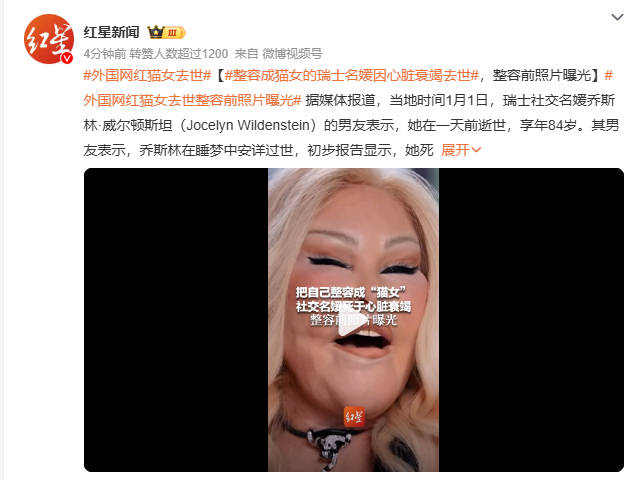 外国网红猫女离世，引发无尽怀念与感慨