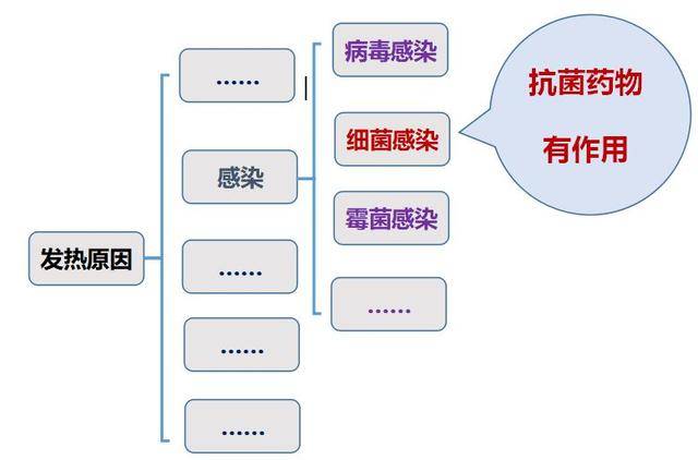 流感患者需尽早使用抗菌药？不实传闻揭秘