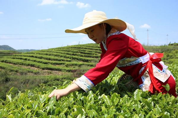 考官在结构化面试中期定分的重要性与策略探讨