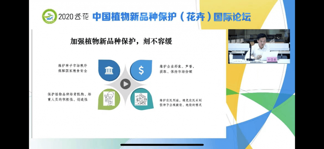 自我保护机制下的莫名讨厌情绪深度解读