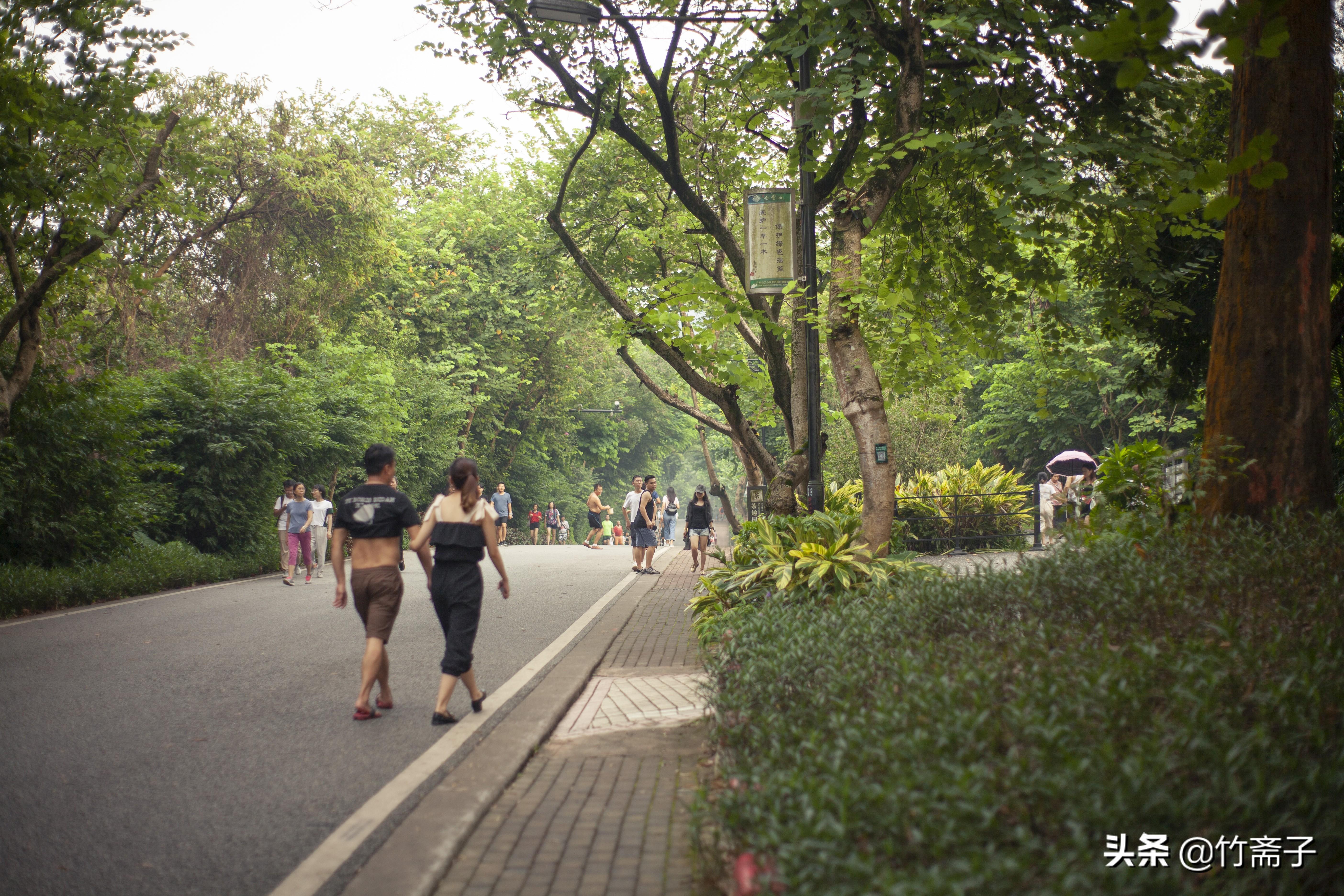 广州多校应对无课不上却未放假现象，灵活调整教学计划保障教育质量