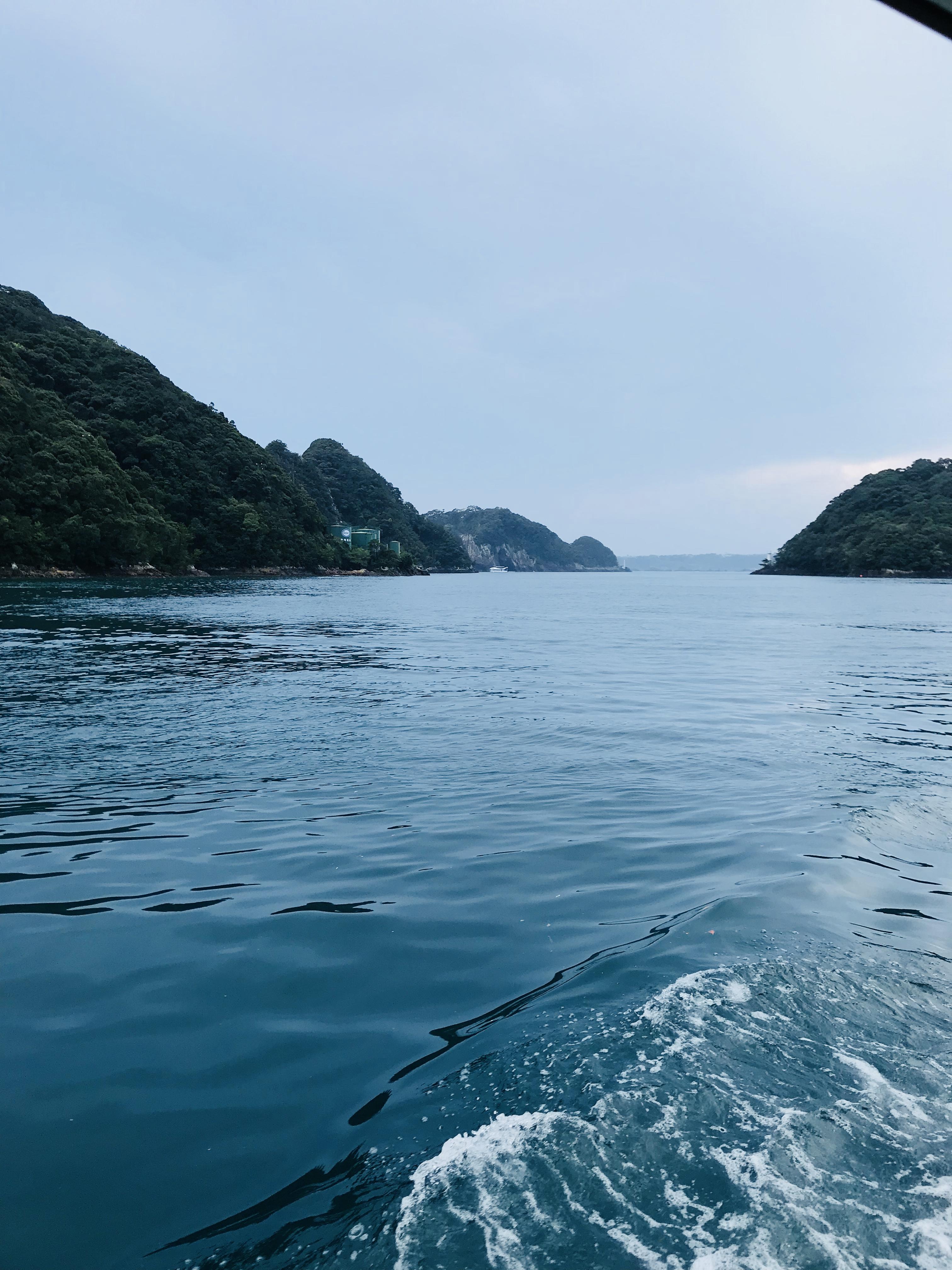 揭秘跨海追梦女子，买日本70万平米小岛的现状