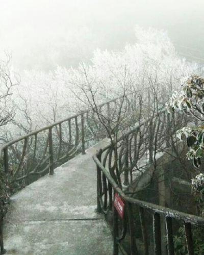 今冬最强雨雪来袭，应对与防范指南