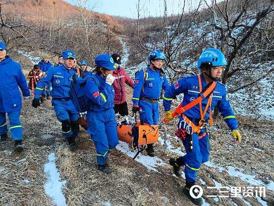 雪夜野山惊魂，勇气与智慧的终极考验