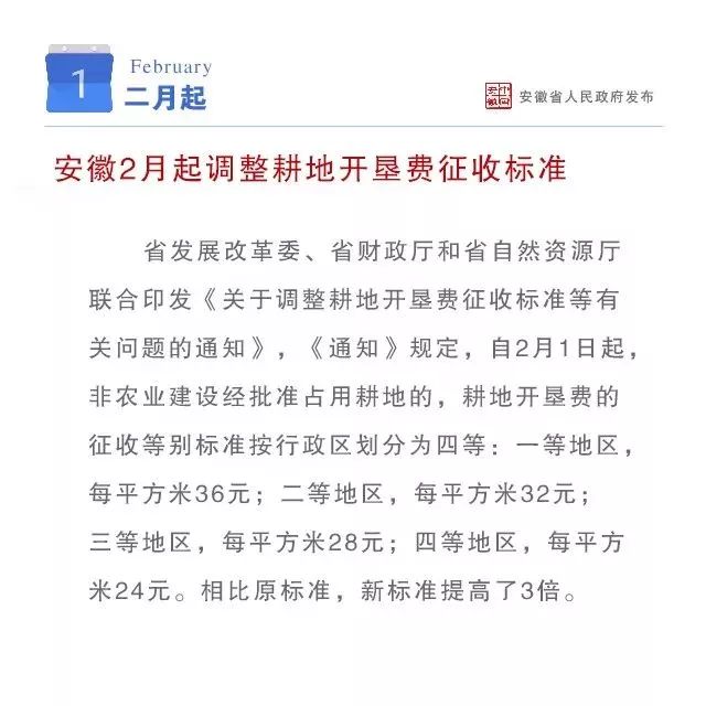 二月新规引领社会新风尚潮流