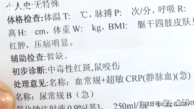 网传乘客飞机上捡到鞭炮事件真相与责任探究