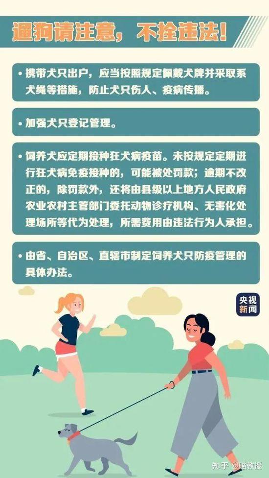 小狗咬人事件，爷爷的教育方式与家庭责任探讨