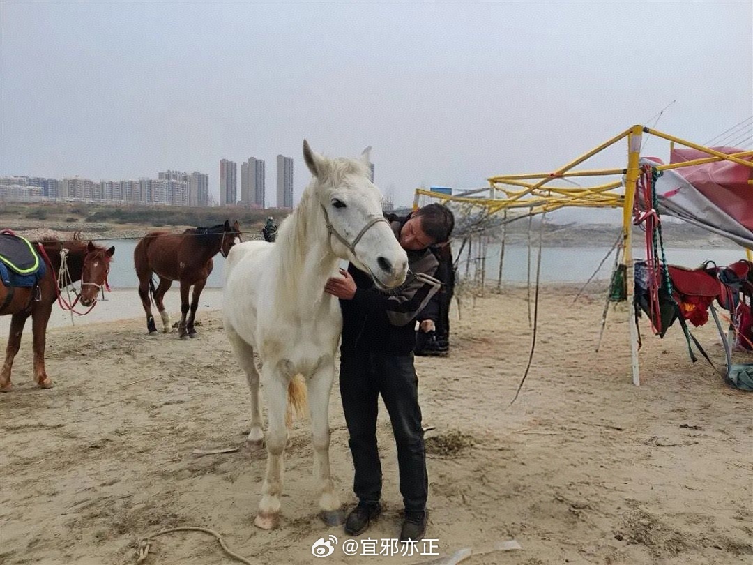 白马悲歌，英雄离世的永恒瞬间