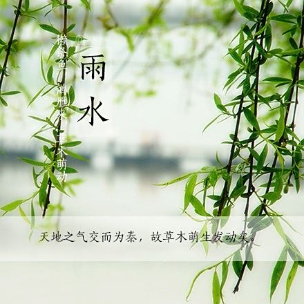 雨水的韵律，生命的节奏同步探索