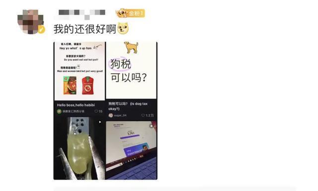 小红书意外崩溃背后的原因与应对策略深度探究