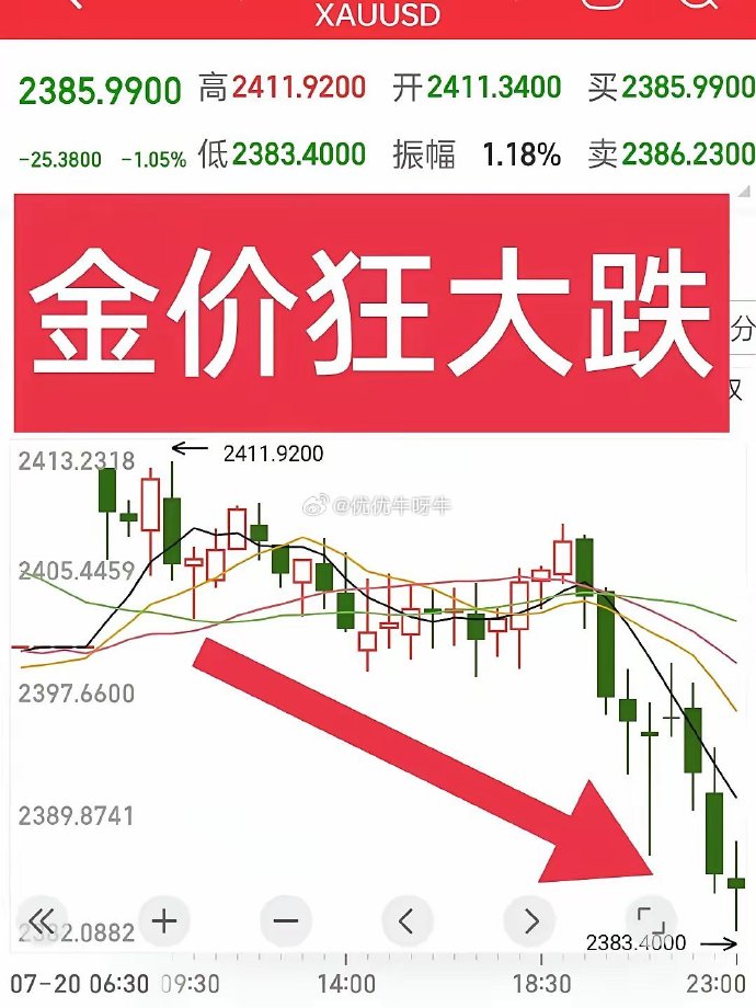 金价大跳水背后的黄金投资挑战与机遇，市场动荡中的策略思考