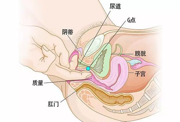 女子私密手术后出现头晕嘴歪症状，深度探究背后的原因与启示