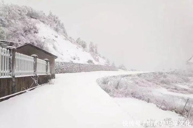 山东河南等地暴雪持续，影响及应对措施