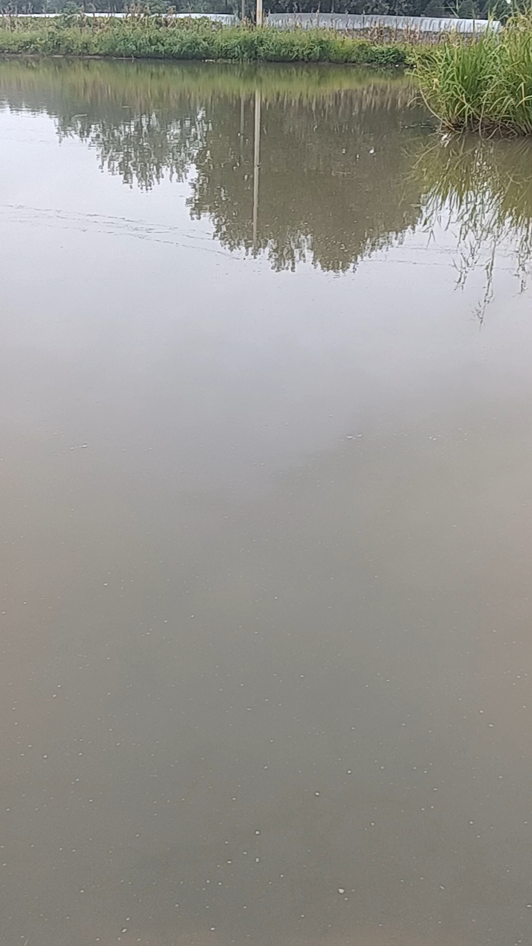 鱼塘突发大坑，生态灾难瞬间降临——水和鱼瞬间消失