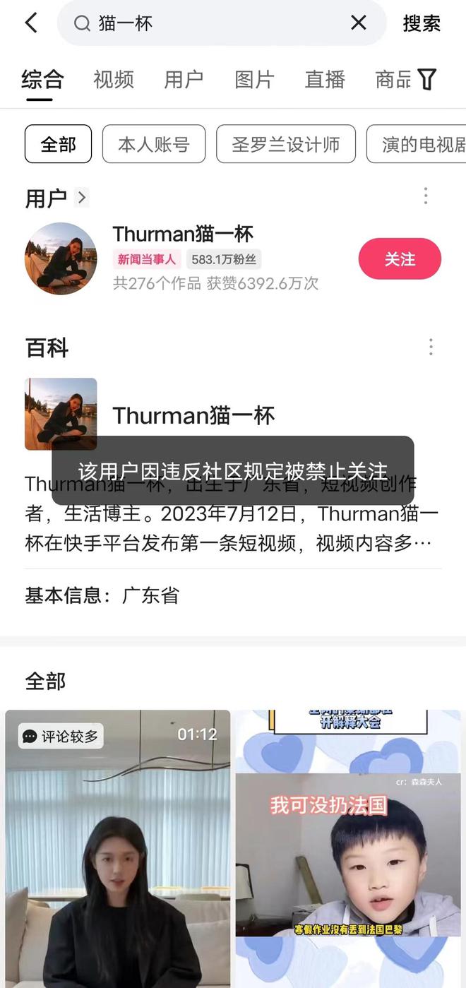 网红猫一杯遭遇诉讼风波，事件真相探究