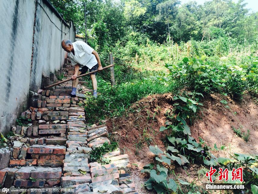 长沙老人自费建百米登山木梯，执着精神与为民情怀的典范