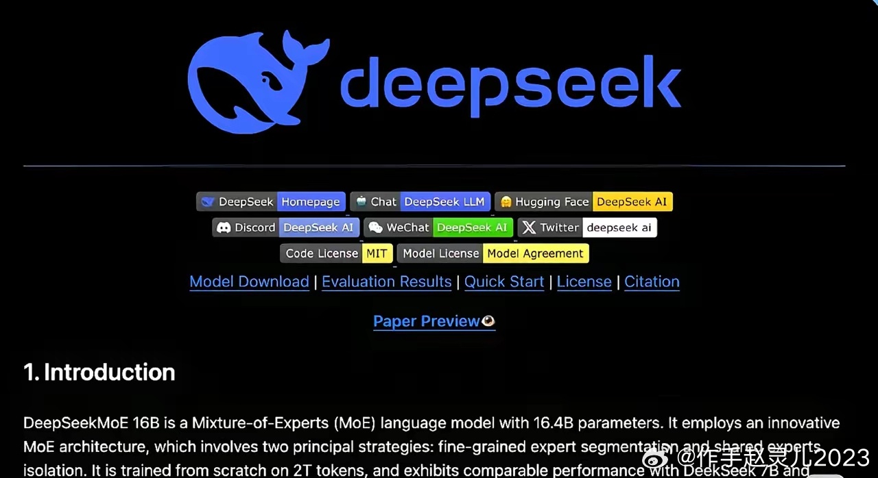 DeepSeek评价Manus，技术与艺术的完美融合