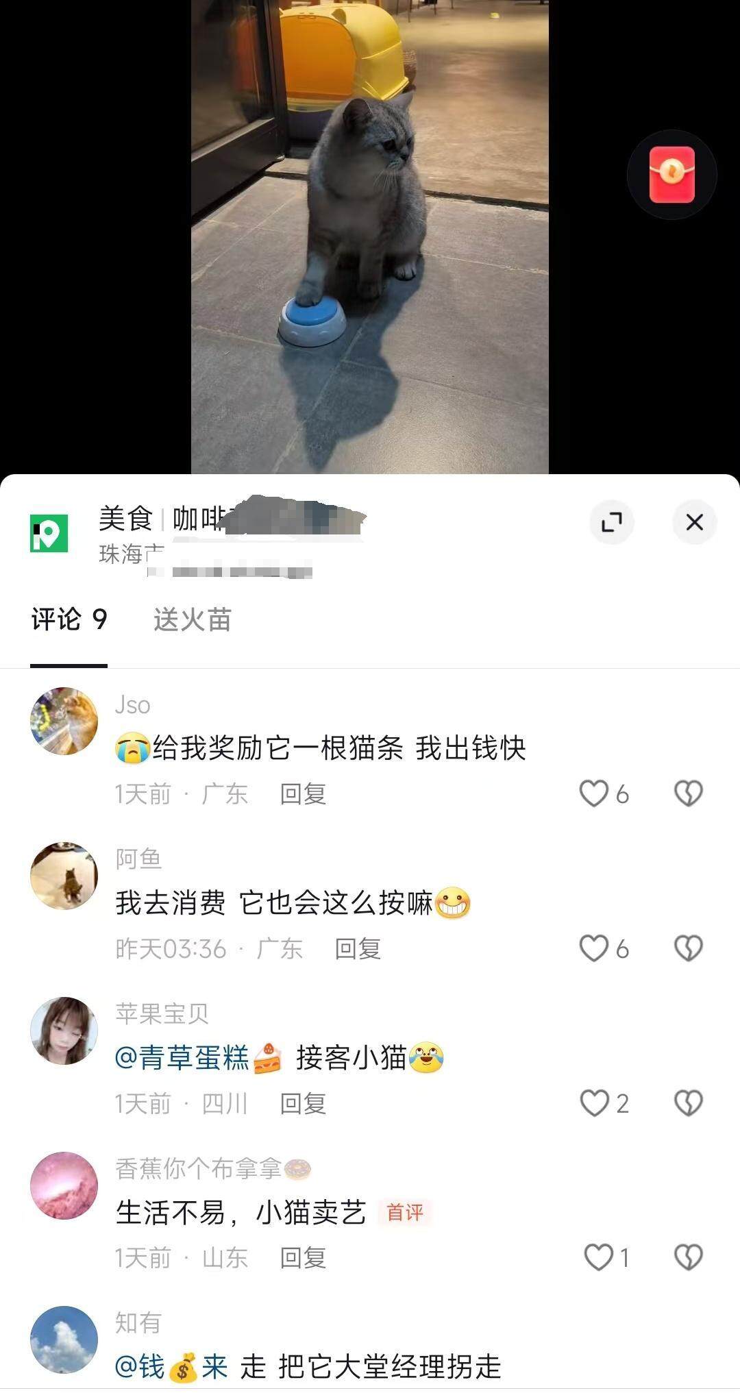 广东咖啡店独特迎宾，迎宾猫按铃招揽顾客