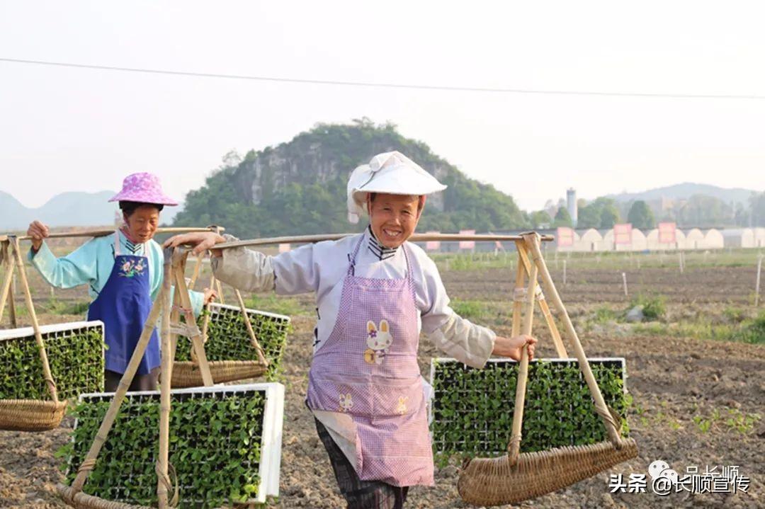 长顺中小学教师退出机制暂行办法公布